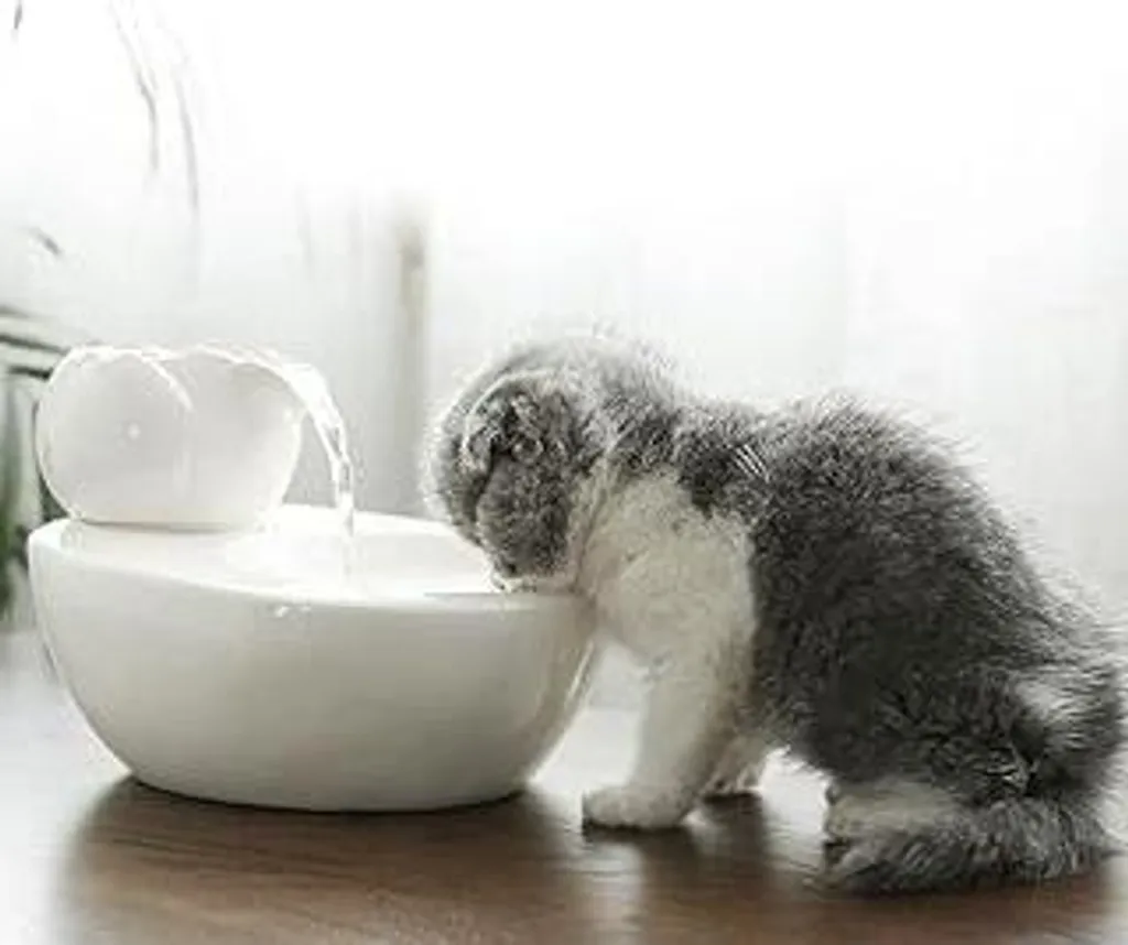 Smetti di Far Bere il Gatto dal Rubinetto | Fontana Lotus Ceramica