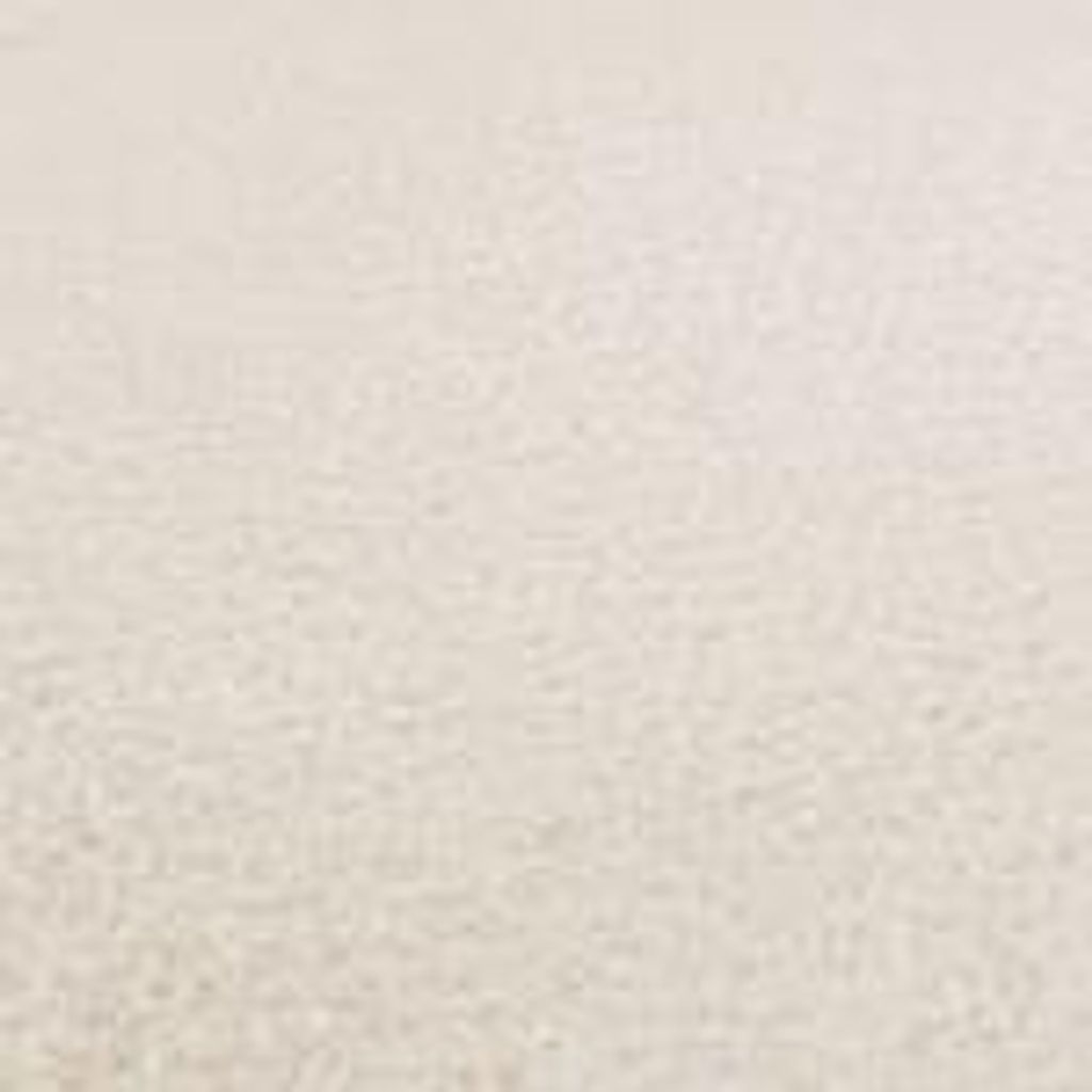 A close-up of a textured cream-colored surface, likely a rug or carpet.