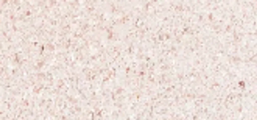Potion de beauté teintée Chameli 6 ml - Soin éclat du teint naturel