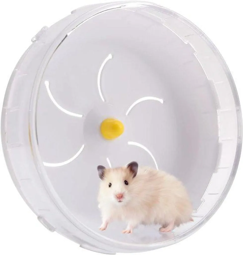 Habitat hamsters transparent en plastique - Cage 21 cm à structure ouverte