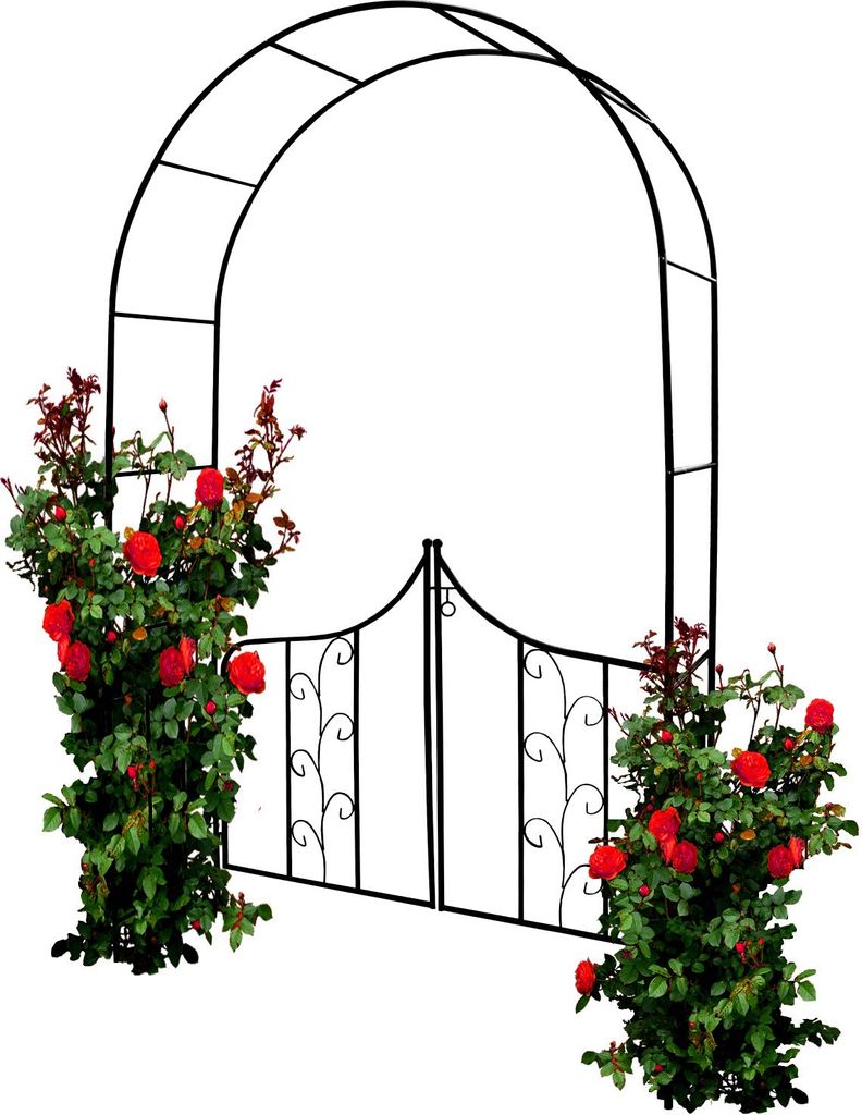 Garden Pergola Rundbogen Für Rosen Blumentor Produktbild 