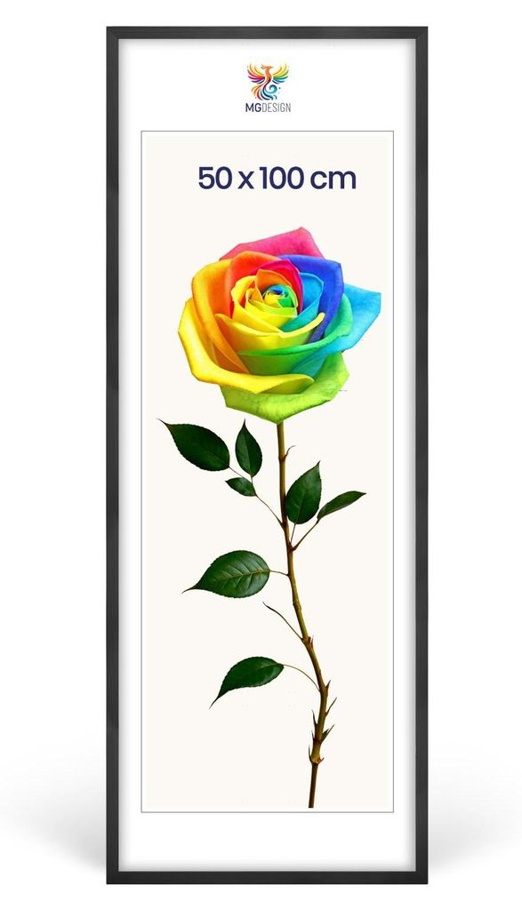 MG Design Bilderrahmen Schwarz 50x100 cm - Posterrahmen Produktbild 