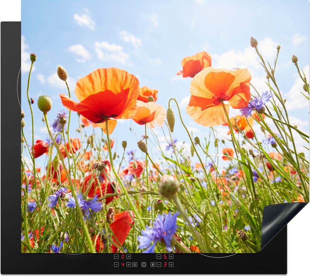 KitchenYeah Herdabdeckplatte Blumen - Mohn - Frühling - Natur - Rot - Blau , 58x51cm, Küche Deko, Glaskeramikkochfeld Herdabdeckung, Abdeckplat...