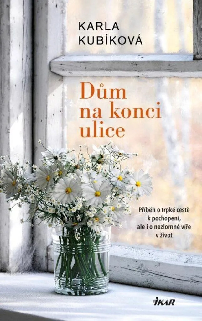 Livre Dum na konci ulice Karla Kubikova pour lecture de soirée