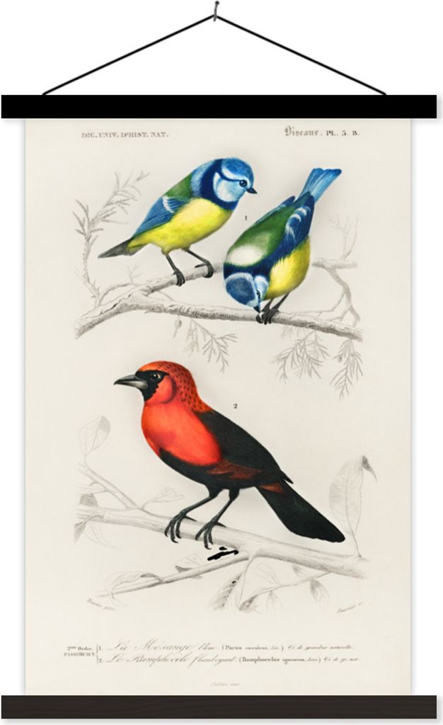MuchoWow Textilposter Vogel - Vintage - Zweig 40x60 cm mit schwarzem Rahmen - Wanddekorationen