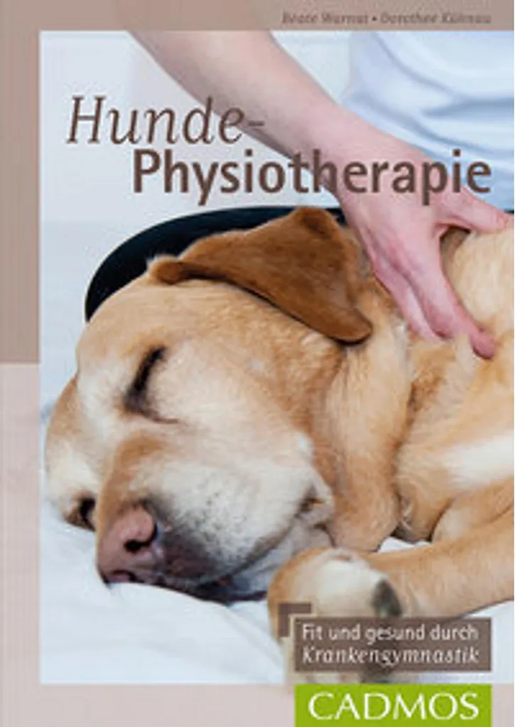 Rééducation Chien après Chirurgie - Appareil de Physiothérapie à Domicile