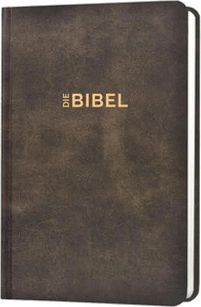 Bible Schlachter 2000 de poche robuste aspect cuir pour lecture quotidienne