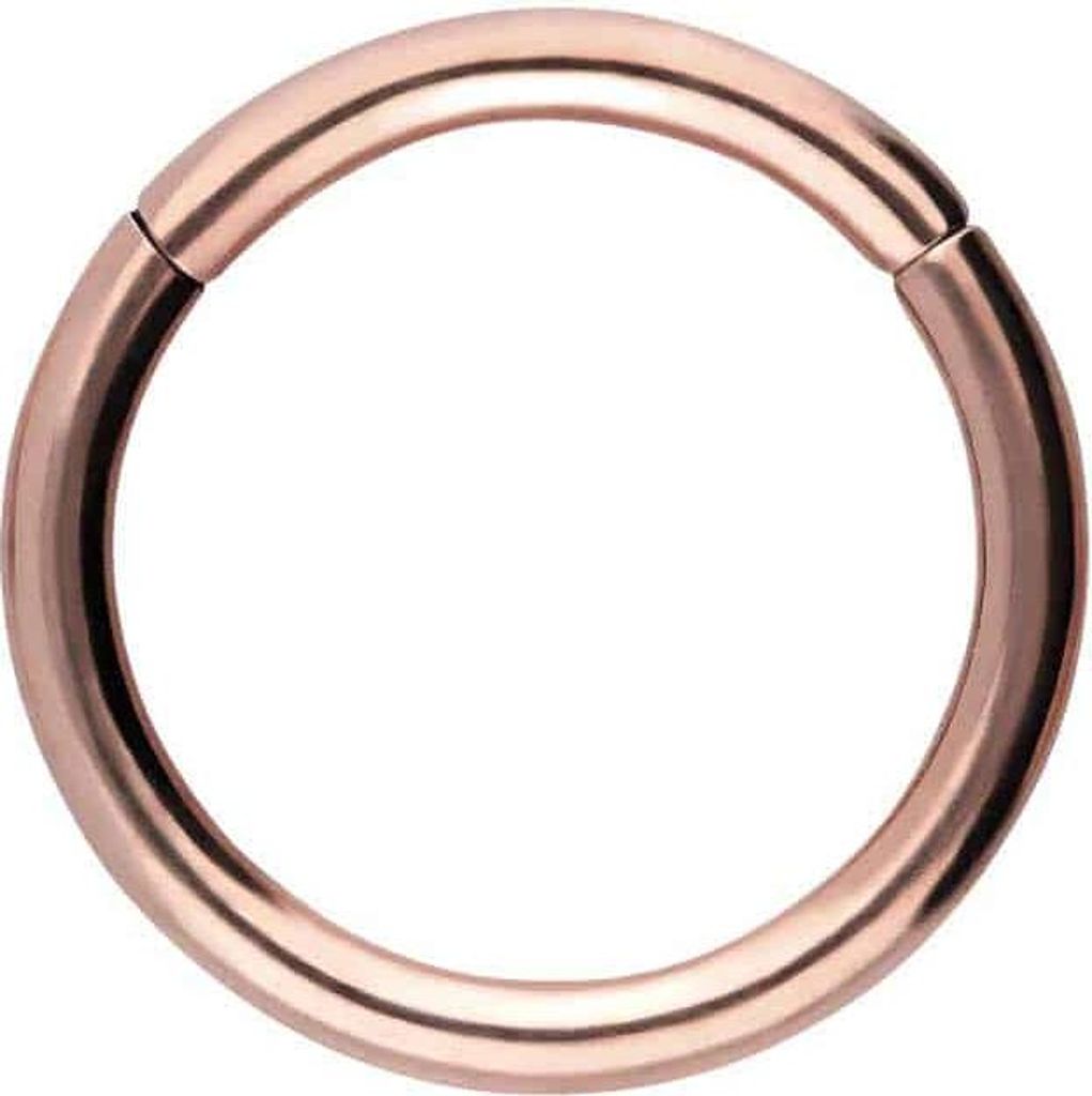 Ohrpiercing, Nasenpiercing, Septum Piercing Chirurgenstahl Segmentring Clicker RoséGold Innendurchmesser: 11mm + Stabstärke: 1,6mm