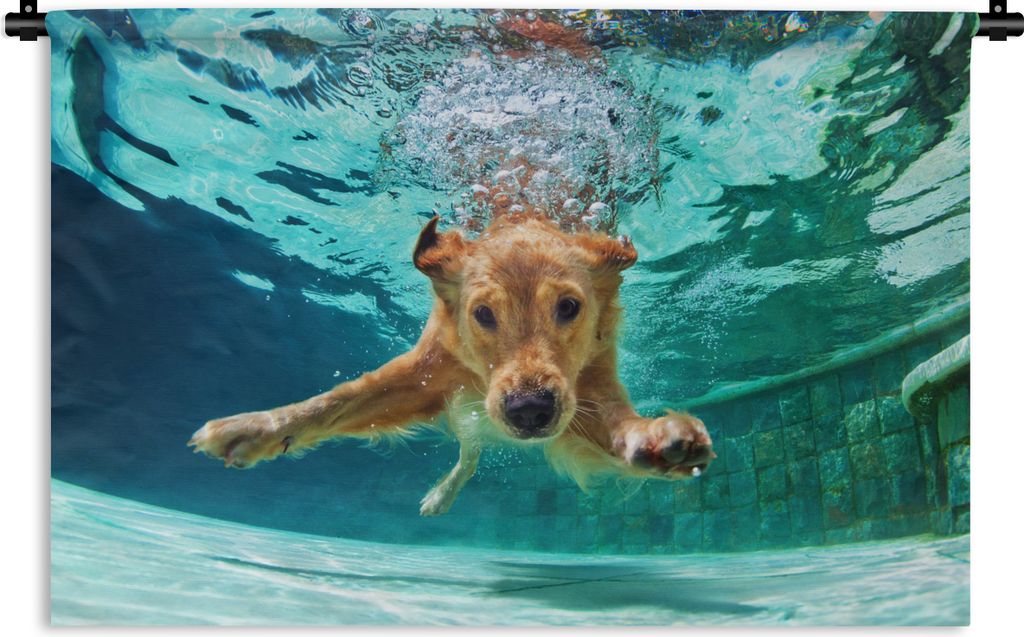 MuchoWow Wandteppich Wandbehang Pool - Hund - Wasser 90x60 cm Tapisserie Dekoration Wandtuch - Wandskulpturen - Bildteppich