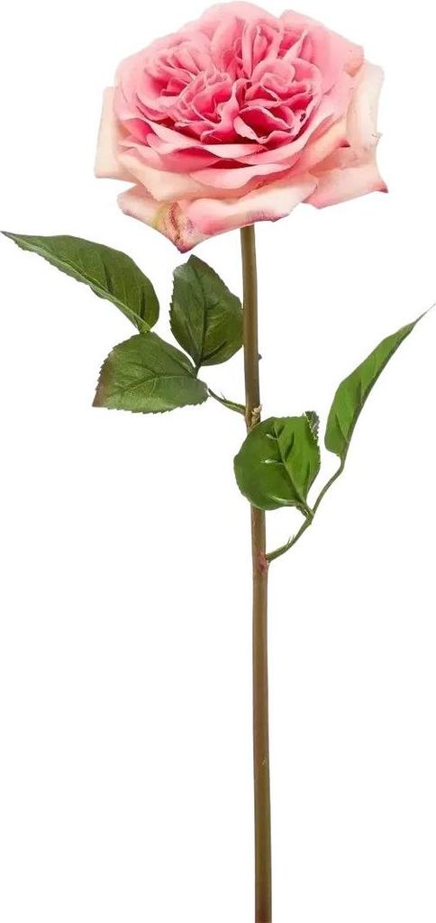 Emerald Künstliche Rose - Fleur | 60 cm, für drinnen, Kunstblume, wie echt, Allergiker geeignet, pflanzliche Dekoration Praxis, Office & Wohnzimmer