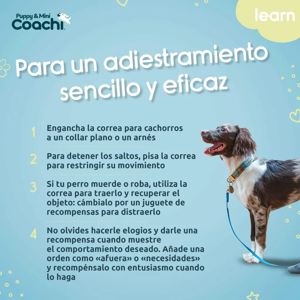 Pettorina per cani Coachi - 5