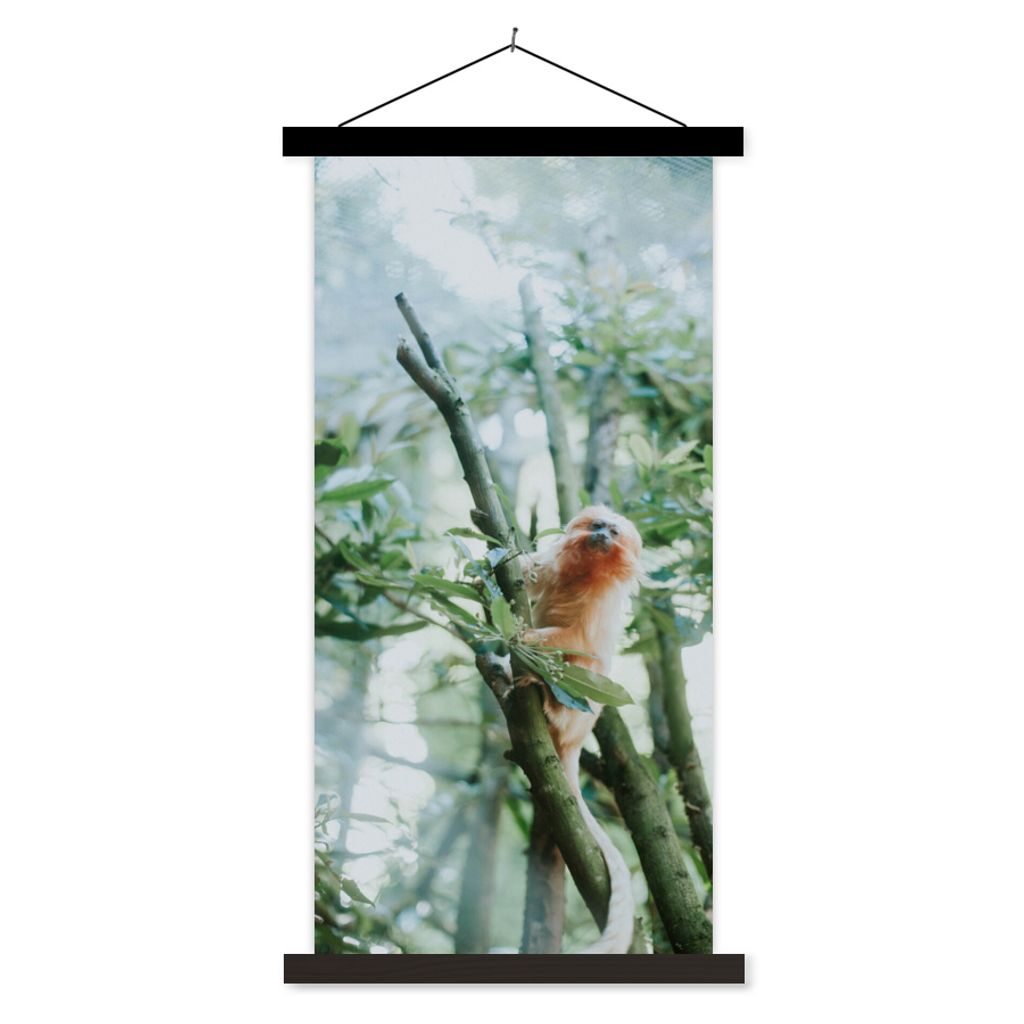 MuchoWow Textilposter Zwergseidenäffchen im Baum 40x80 cm mit schwarzem Rahmen - Wandemalerei