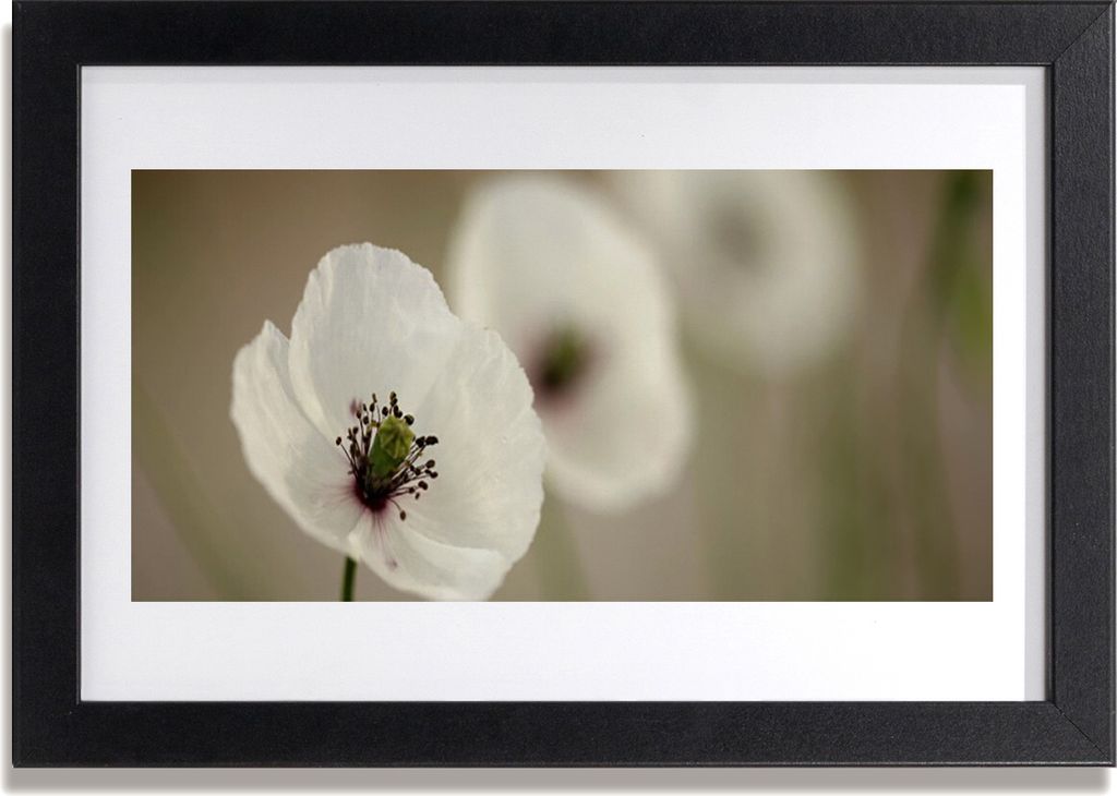 Bild 30x20 MDF-Rahmen Wandkunst Natur Blume Pflanze Produktbild 