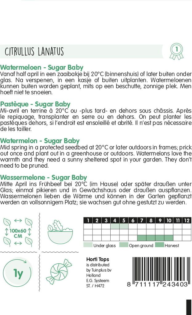 Samen - WASSERMELONE ́SUGAR BABY ́