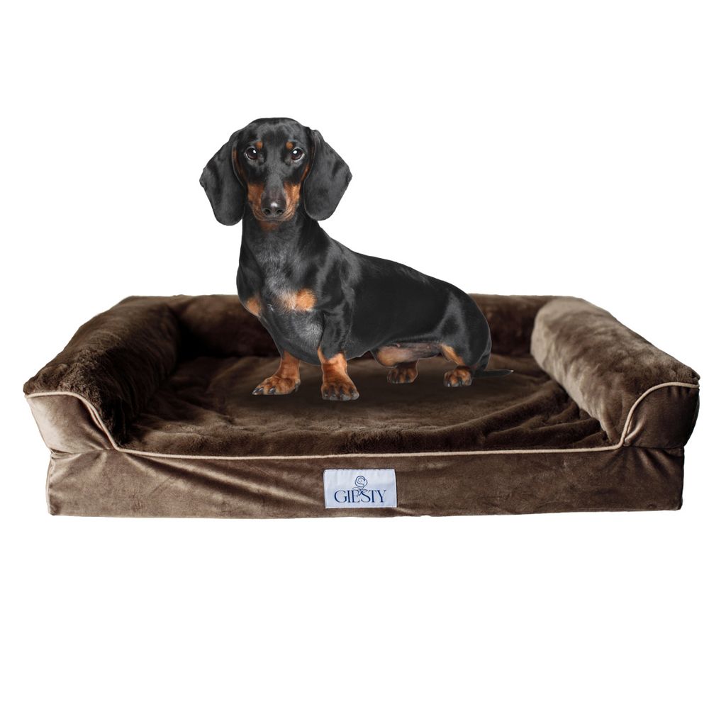 Giesty Orthopädisches Hundebett Mittelgroße Hunde, Hundecouch mit Hohem Rand, Haustierbett, Hundesofa Waschbar, size M (75*57*20 cm)