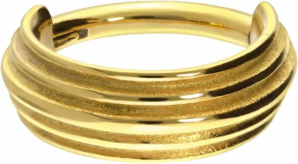 Ohrpiercing, Nasenpiercing, Septum Piercing Chirurgenstahl Segmentring Clicker 5 RINGE Gold Innendurchmesser: 10 mm