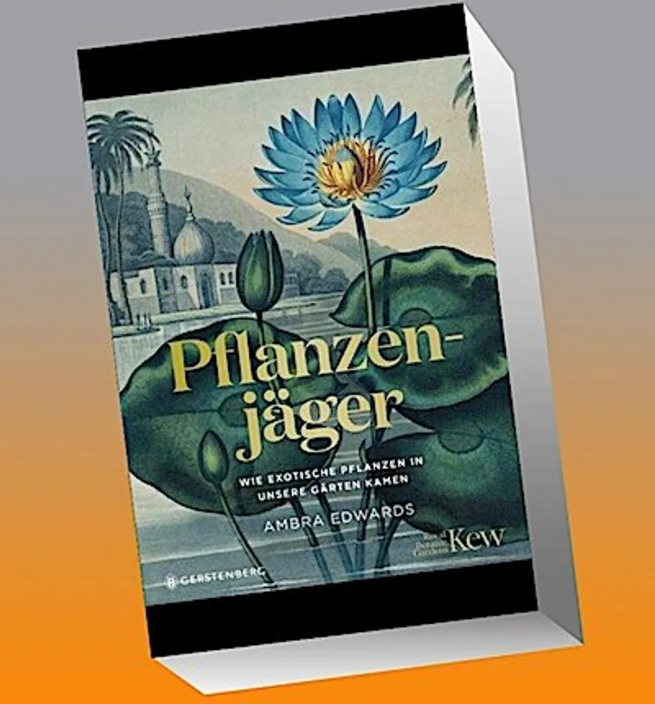 Presse à Fleurs et Feuilles Pflanzenjäger pour Herbier Botanique Mural