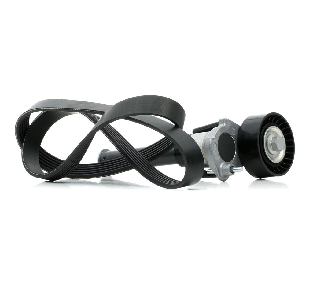RIDEX 542R0390 Keilrippenriemensatz für VW GOLF VI (5K1)