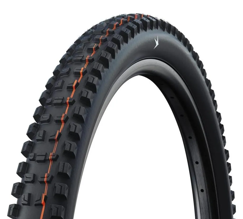 Pneu VTT 29 pouces Schwalbe Romy HS646 Radial pour VTT Trail et Enduro