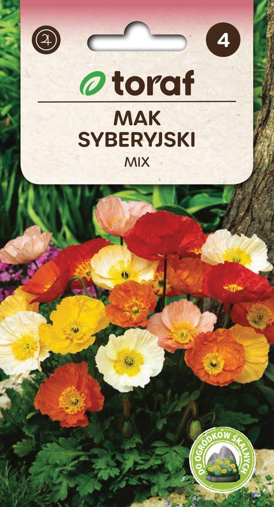 Mak syberyjski MIX Nasiona kwiatów - 564 Toraf Zdjęcie produktu 
