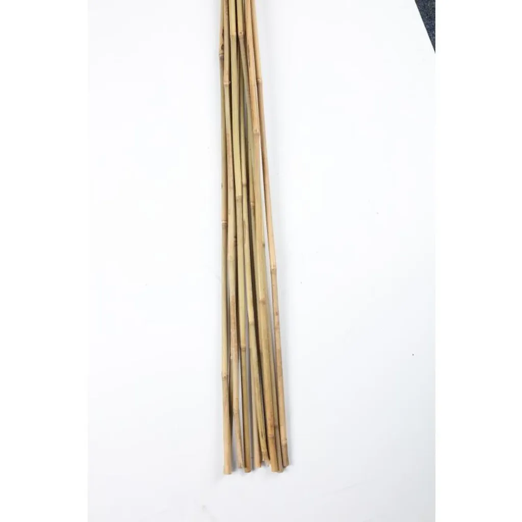 10er Set BambusStangen L 90cm, ø 810mm Kaufland.de