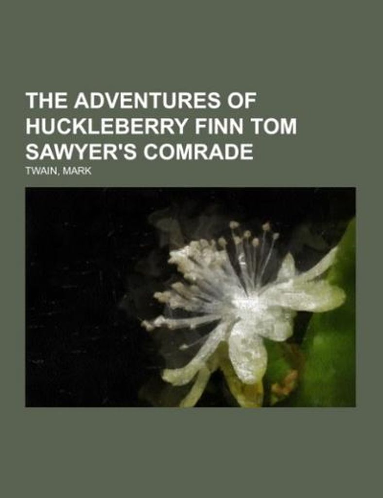 The Adventures of Huckleberry Finn Tom Sawyer's Comrade