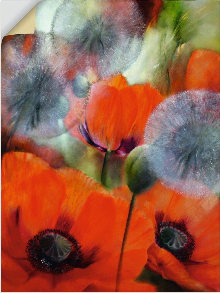 ARTland Wandbild, selbstklebend Mohn und Pusteblumen Größe: 30x40 cm