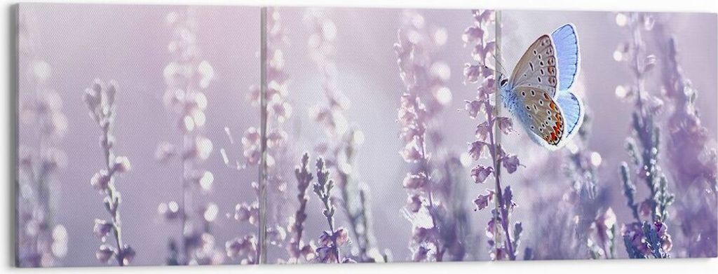 Bild auf Leinwand - Leinwandbild - Schmetterling Wiese Blume - 150x50cm - Wand Bild - Wanddeko - Leinwanddruck - Bilder - Kunstdruck - Wanddekorati...