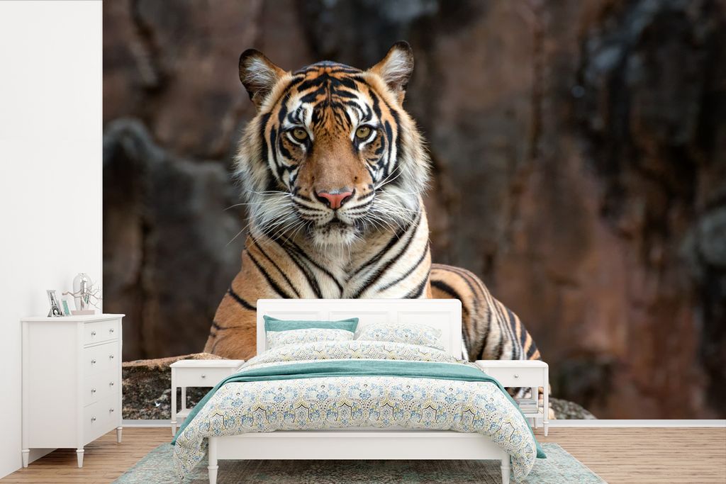 MuchoWow Fototapete für Wohnzimmer oder Schlafzimmer Wandtapete Vinyl Motivtapete Tiger - Felsen - Berge - 450x300 cm - Gemusterte