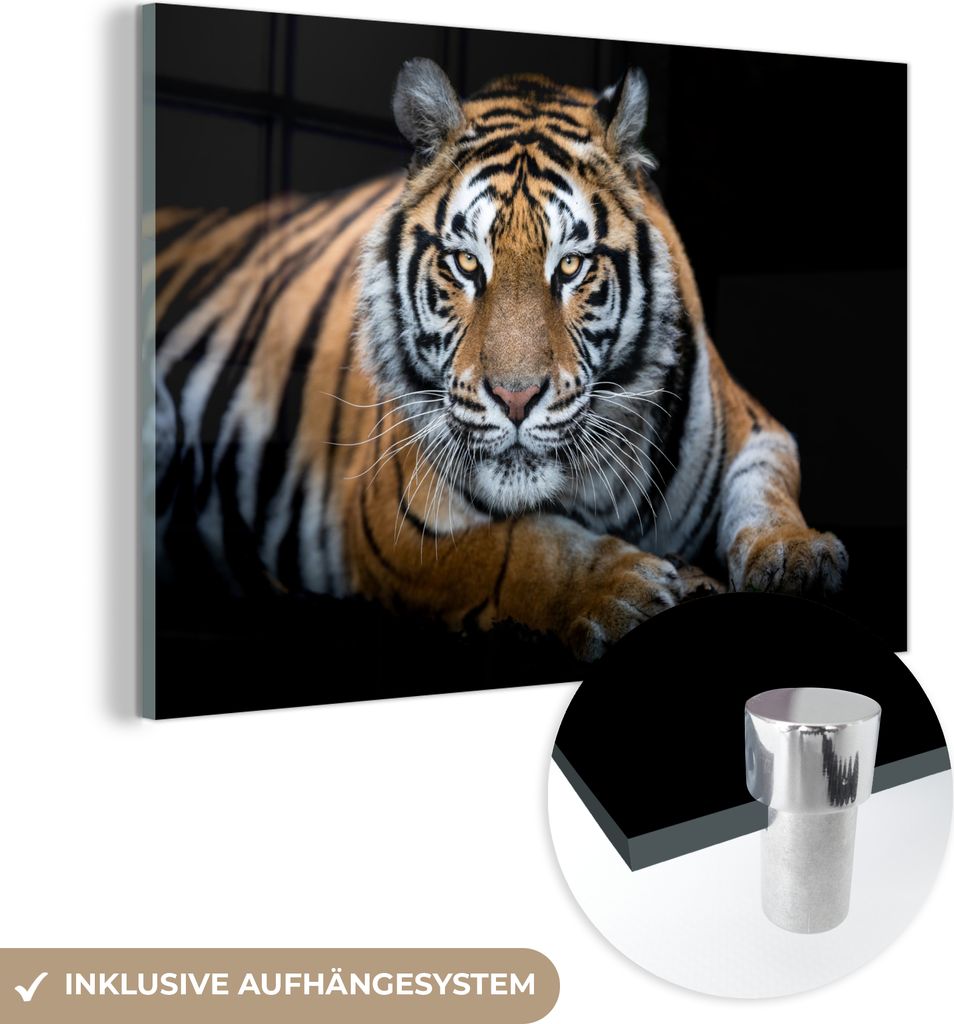 MuchoWow Glasbilder - Bilder auf Wandbild - Foto auf Glas Porträt - Tiger - Schwarz 90x60 cm Wanddekoration aus Glas - Acrylglasbild - Acrylbilder...