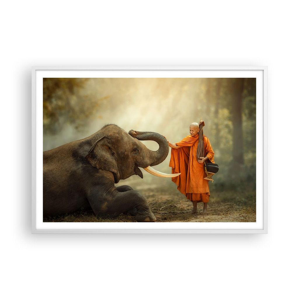Gerahmtes Poster - Weißer Rahmen - Elefant Mönch Stoßzahn - 100x70 cm - Wand Bild - Wanddeko - Wandbilder - Kunstposter - Wandposter - Bilderrah...