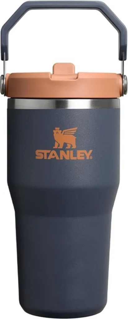 Gourde Stanley 0,6l pour Voiture et Vélo : Hydratation Facile Flip Straw Inox