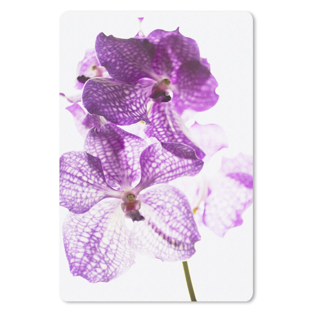 MuchoWow Mauspad Mousepad Lila Orchideen 18x27 cm - Mousepads - Maus Mat - Pad - Mausunterlage