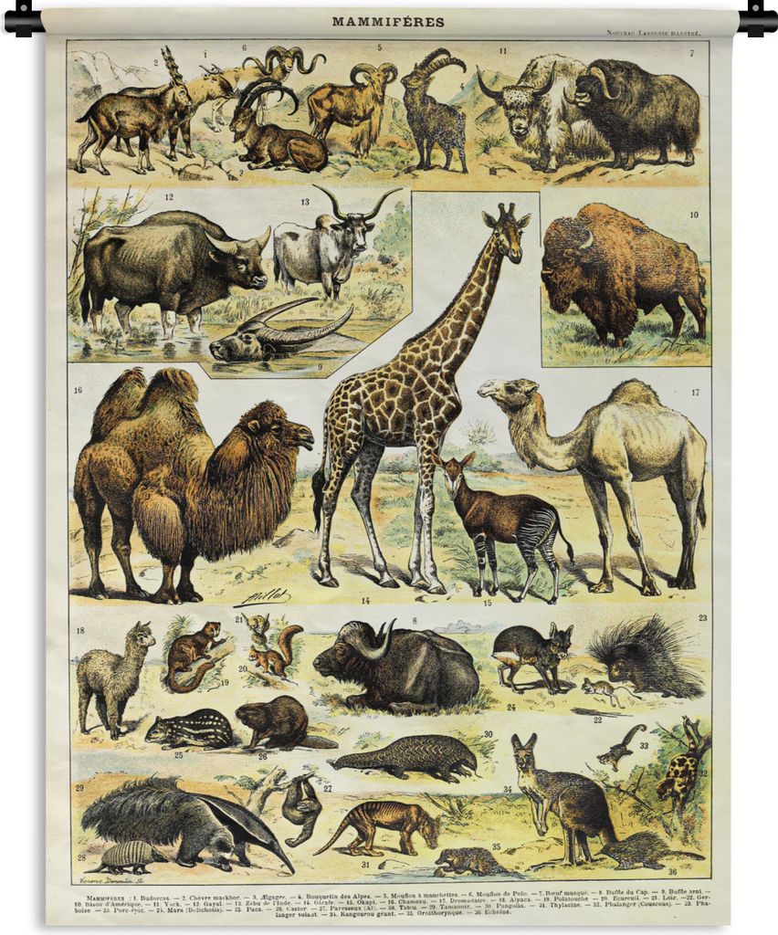 MuchoWow Wandteppich Wandbehang Tiere - Giraffe - Kamel 60x80 cm Tapisserie Dekoration Wandtuch - Decke - Wandtücher - Wohne