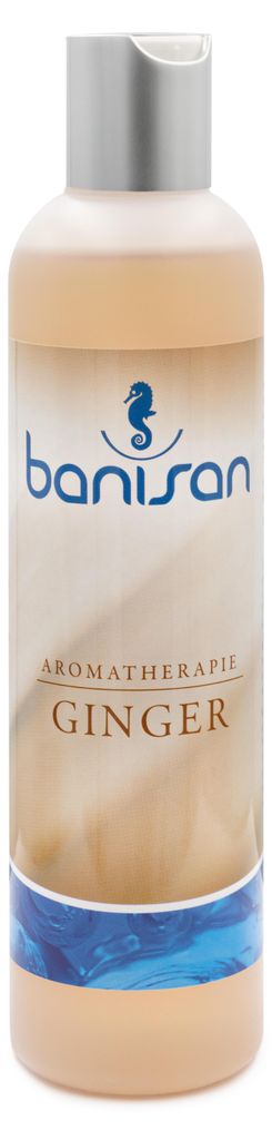 Banisan Badezusatz Ginger, Aromatherapie 250 ml, ergiebig, Produktbild 