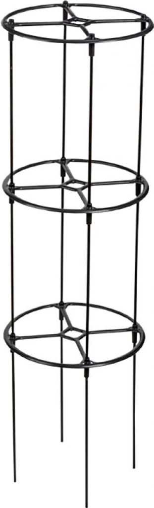 Plastia Berberis Spalier Pflanzenstütze 132,5 cm hoch x 38 Produktbild 