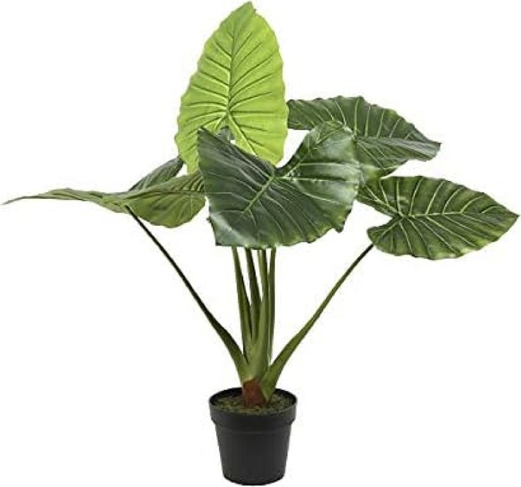 Taro Kunstpflanze Kunstblume Hochzeit Büro Dekoration grün H 90cm