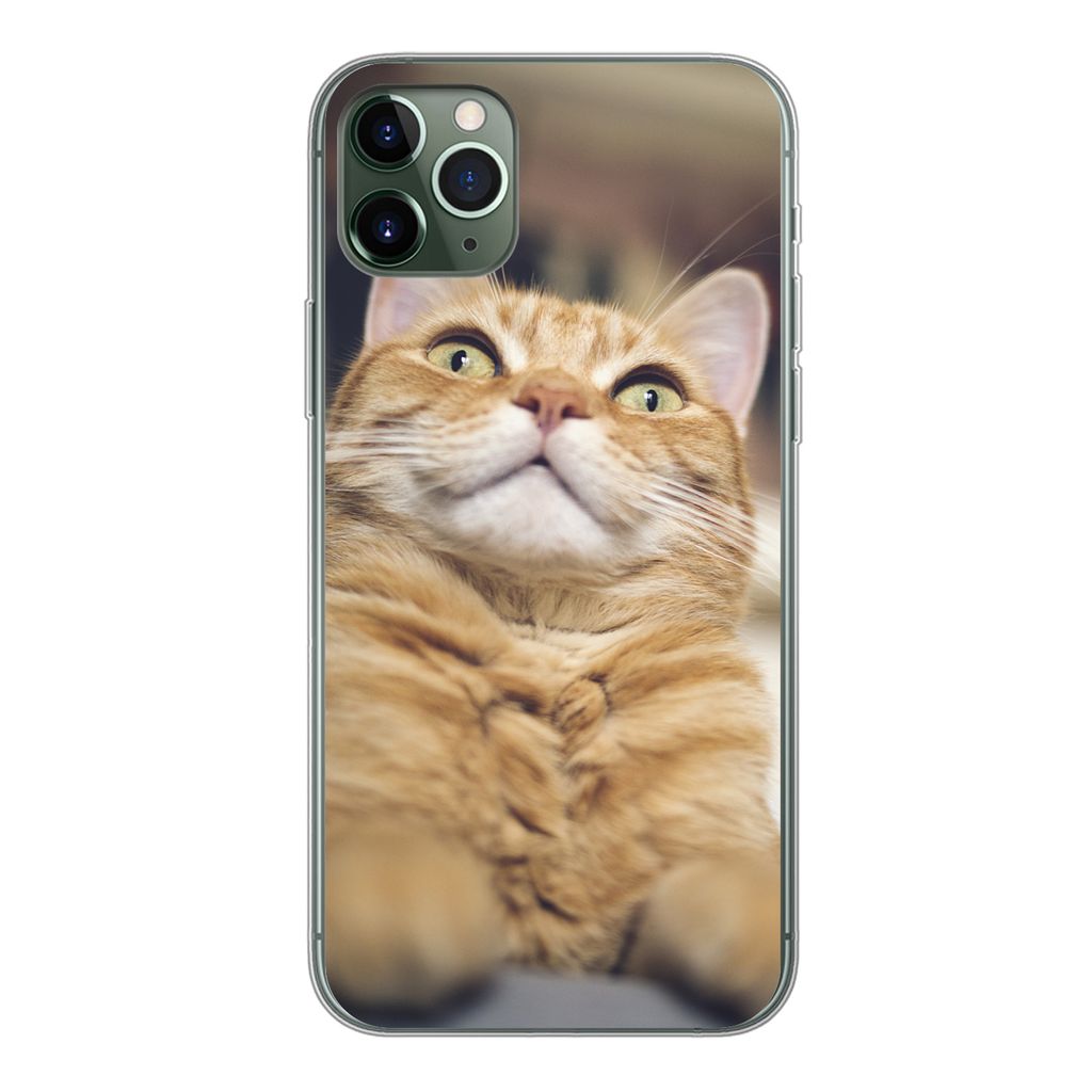 MuchoWow Handyhülle Schutzhülle Hülle für iPhone 11 Pro Max Katze - Bank - Orange Silikon Softcase Handy Hülle - Schutz