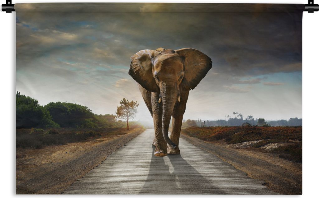 MuchoWow Wandteppich Wandbehang Elefant - Straße - Tiere - Sonnenuntergang - Landschaft 150x100 cm Tapisserie Dekoration Wandtuch - Waschbar - T...