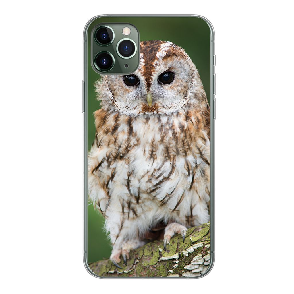 MuchoWow Handyhülle Schutzhülle Hülle für iPhone 11 Pro Max Braune Eule sitzt auf einem Baum Silikon Softcase Handy Hülle - Schutz