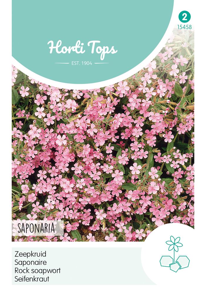 Seifenkraut | Blumensamen von Hortitops Produktbild 