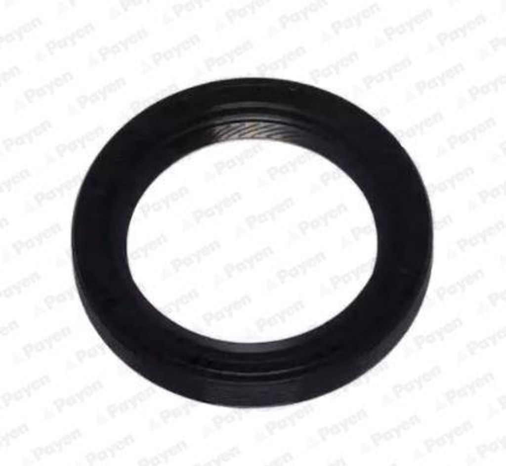 PAYEN NA5306 Simmerring, Kurbelwelle OE 47103085 kompatibel mit Arosa, Fabia, Favorit, Felicia, Octavia, Lupo, Fusion, Megane, ZX, Escort, Damas, C...