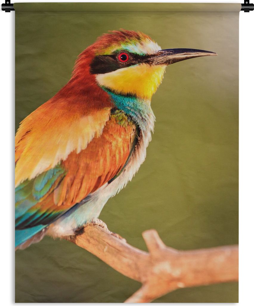 MuchoWow Wandteppich Wandbehang Vögel - Bienenfresser - Regenbogen - Tiere 60x80 cm Tapisserie Dekoration Wandtuch - Decke - Wandtücher - Wohne