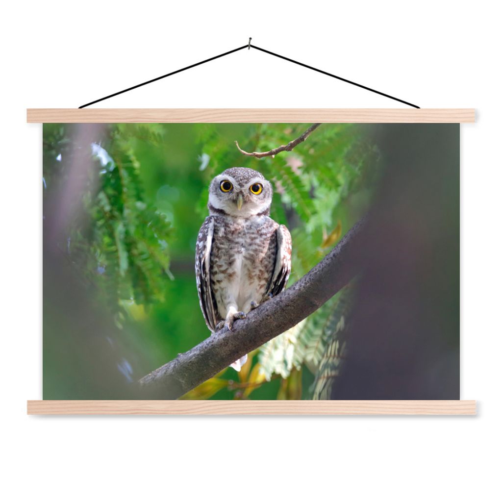MuchoWow Textilposter Eule auf Ast sitzend 120x80 cm mit holzfarbenen Rahmen - Aufhängeset