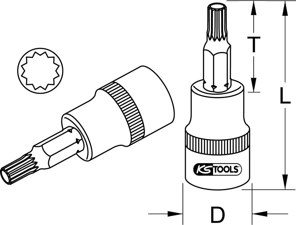 KS TOOLS 917.1545-E 1/4" Bit-Stecknuss XZN, M8, auf Hänger