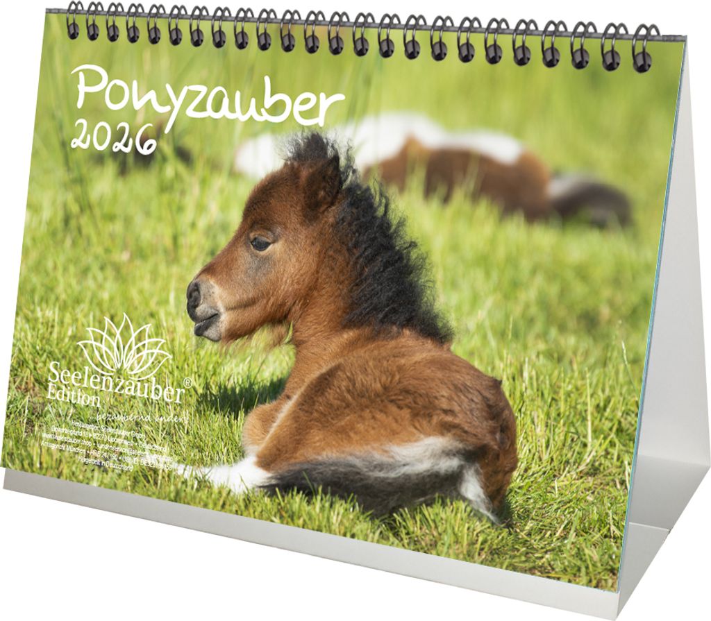 Ponyzauber DIN A5 Tischkalender für 2026 Pony und Fohlen - Seelenzauber