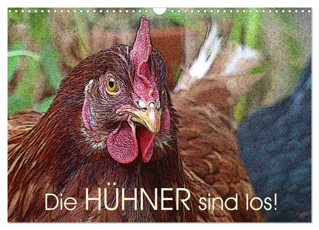 Die Hühner sind los! (Wandkalender 2027 DIN A3 quer), CALVENDO Monatskalender
