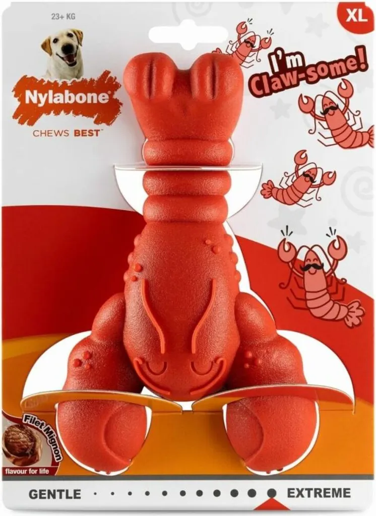 Os à mâcher Nylabone Homard Filet Mignon résistant et durable - 2