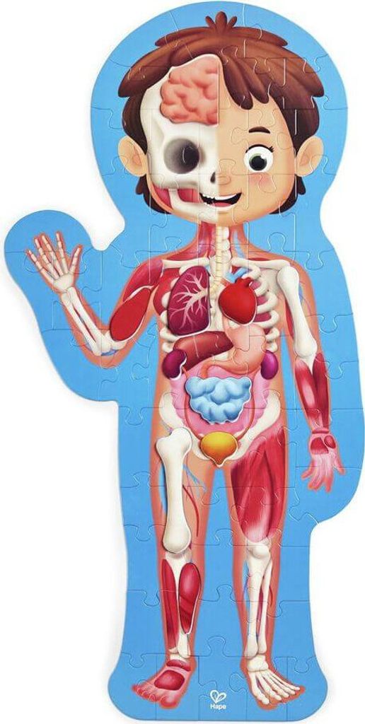 Puzzle - corpo umano Immagine del prodotto 