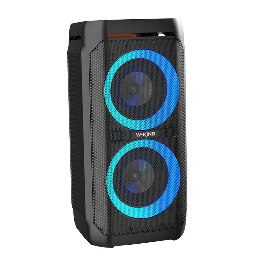 Enceinte Sans Fil W-King T11 Haute Puissance 100W et Grande Batterie